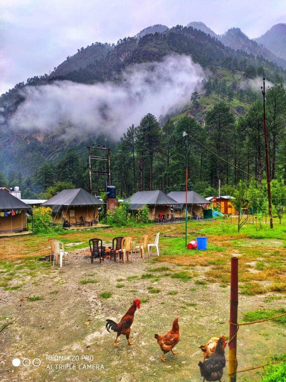 Kasol: Himalayan Haven for Free Spirits - Image 2